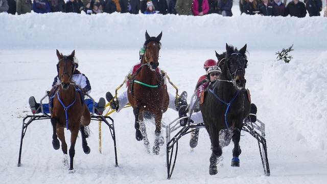 无疑充满希 无疑充满希