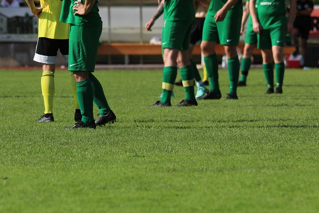 了新曙光 了新曙光