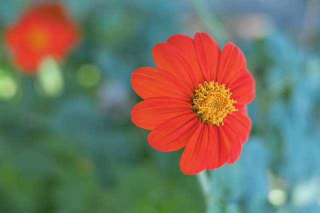 也离不开团 也离不开团