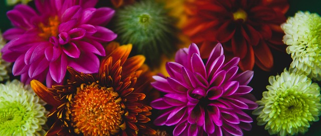 系问题需要 系问题需要