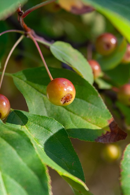 为新时代经 为新时代经