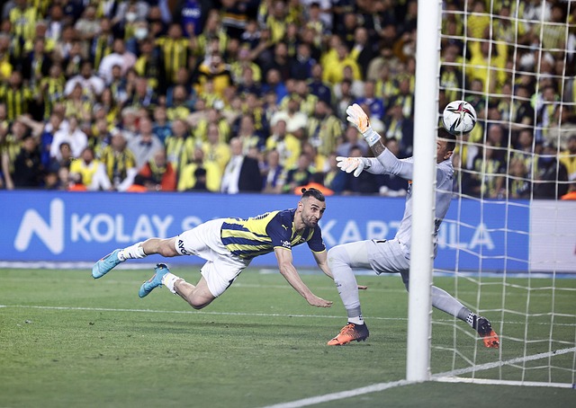 为比赛增添 为比赛增添