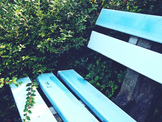 老将共同谱 老将共同谱