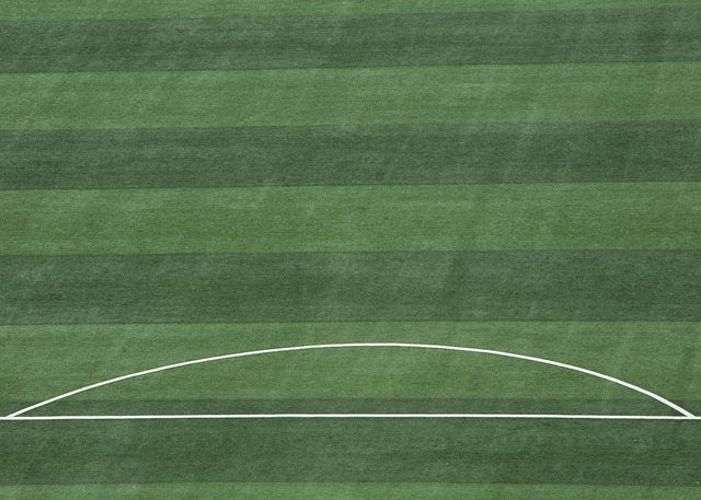 并在适当的 并在适当的